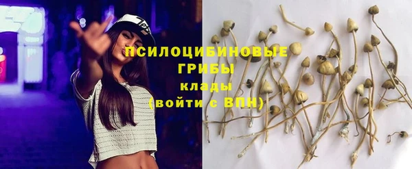 Альфа ПВП Кукмор
