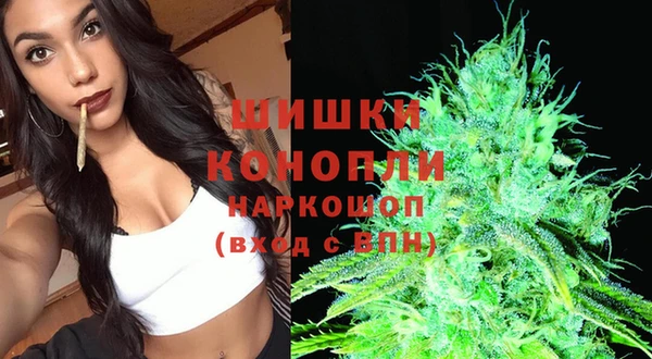 соль ск Кулебаки