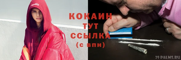 соль ск Кулебаки
