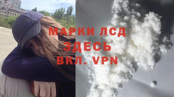 соль ск Кулебаки