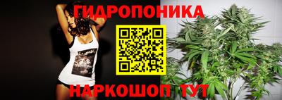 стафф Заводоуковск