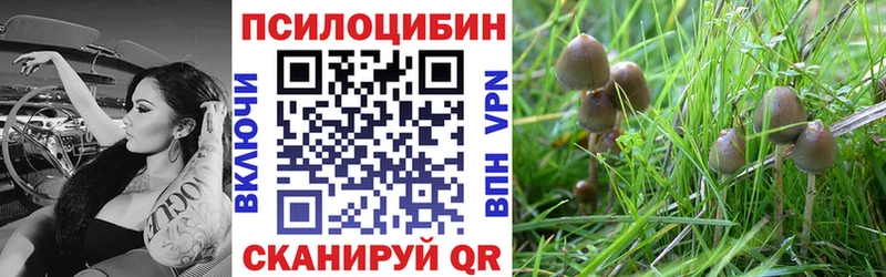 Псилоцибиновые грибы мицелий  купить закладку  Североморск 