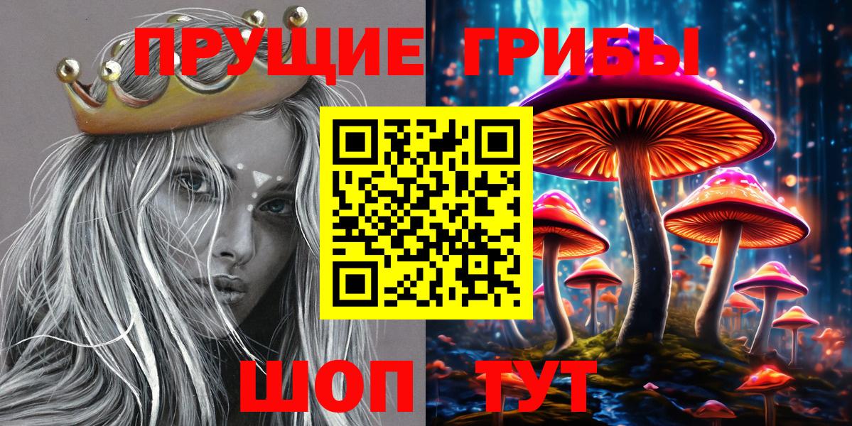 Североморск  Галлюциногенные грибы прущие грибы  Галлюциногенные грибы прущие грибы  как найти закладки  Вход с VPN 