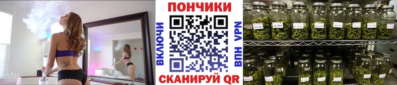 Каннабис план  Североморск 